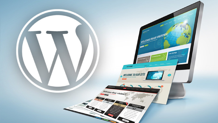 Top Reasons Why WordPress Is the Best CMS for Your Website